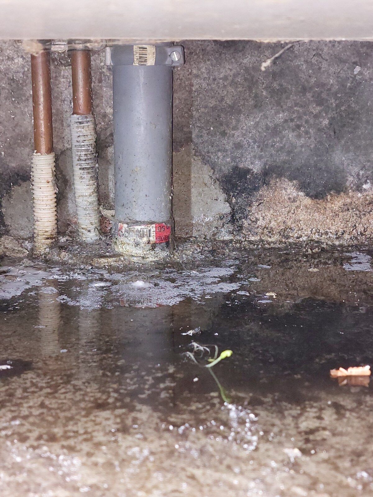 Recherche de Fuite d&rsquo;Eau à Vichy : Expertise sans Destruction